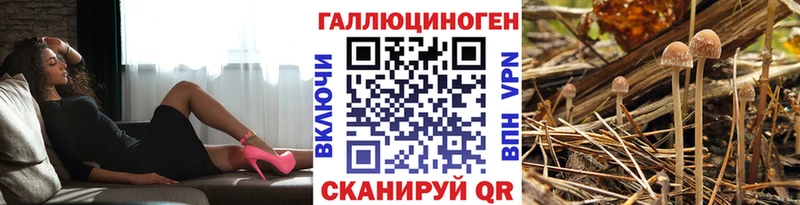 Псилоцибиновые грибы GOLDEN TEACHER  Торжок 
